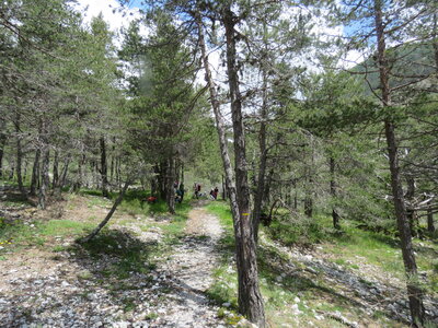 Colmars J 4, IMG_9957