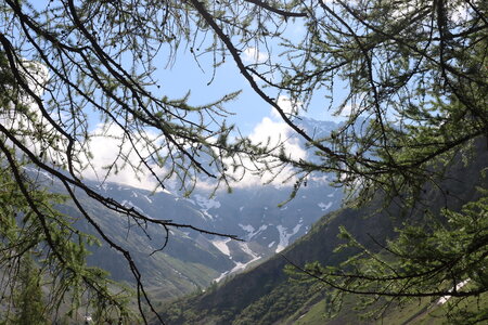 Col du Cheval de Bois, Col du Cheval de Bois 008