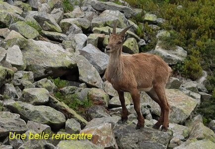 Col du Cheval de Bois, Col du Cheval de Bois 055