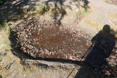 20230613 Ernolsheim Mont Saint-Michel, IMG_4891_Stampfloecher (rocher à cupules)