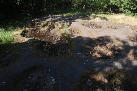 20230613 Ernolsheim Mont Saint-Michel, IMG_4892_Stampfloecher (rocher à cupules)