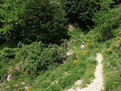Les Sauvas, IMG_9841