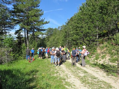 Les Sauvas, IMG_9966