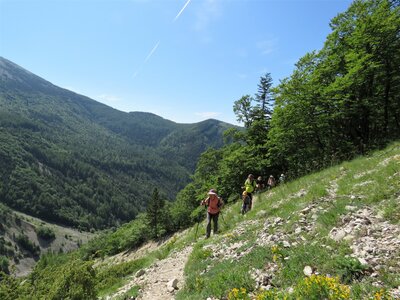 Les Sauvas, IMG_9969