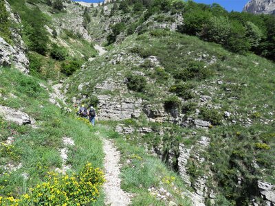 Les Sauvas, IMG_9971