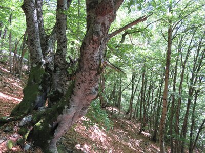Les Sauvas, IMG_9975