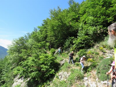 Les Sauvas, IMG_9976