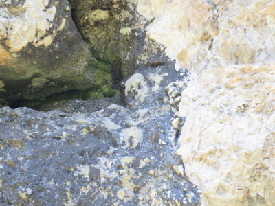 Les Sauvas, IMG_9980