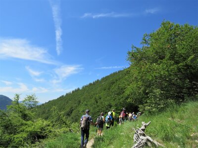 Les Sauvas, IMG_9982