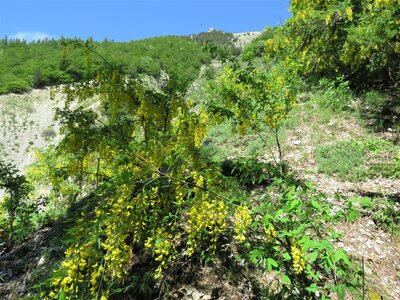 Les Sauvas, IMG_9983