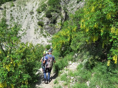 Les Sauvas, IMG_9984