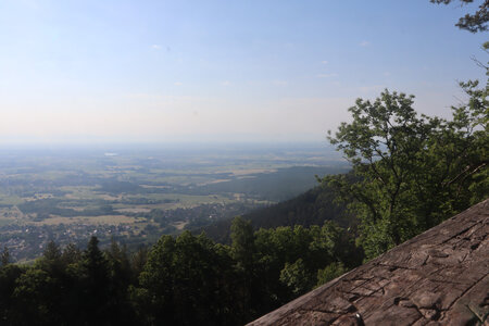 20230615 Ottrott - Mont Sainte-Odile, IMG_4932_Vue depuis l’Elsberg