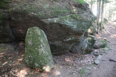 20230615 Ottrott - Mont Sainte-Odile, IMG_4933_Le sentier des Merveilles