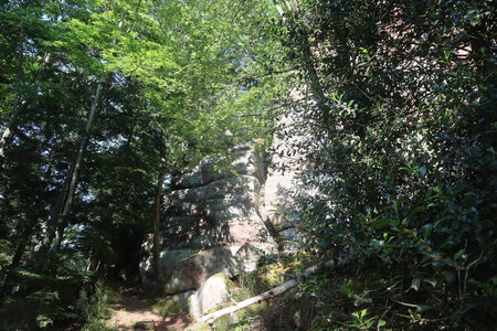 20230615 Ottrott - Mont Sainte-Odile, IMG_4934_Le sentier des Merveilles