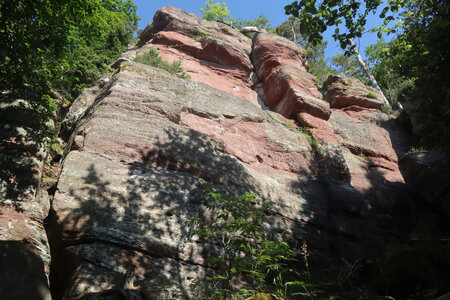 20230615 Ottrott - Mont Sainte-Odile, IMG_4935_Le sentier des Merveilles