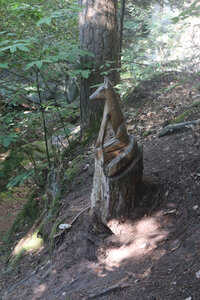 20230615 Ottrott - Mont Sainte-Odile, IMG_4937_Le sentier des Merveilles