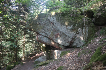 20230615 Ottrott - Mont Sainte-Odile, IMG_4938_Le sentier des Merveilles