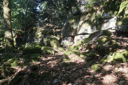20230615 Ottrott - Mont Sainte-Odile, IMG_4939_le sentier des Merveilles