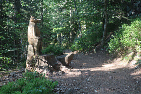 20230615 Ottrott - Mont Sainte-Odile, IMG_4941_Le sentier des Merveilles