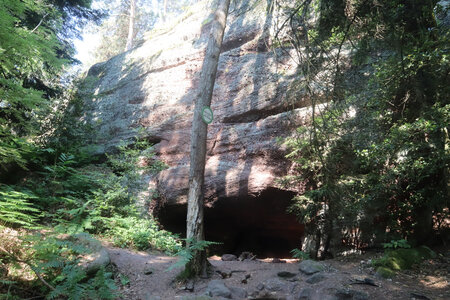 20230615 Ottrott - Mont Sainte-Odile, IMG_4942_Le sentier des Merveilles, la grotte d’Etichon