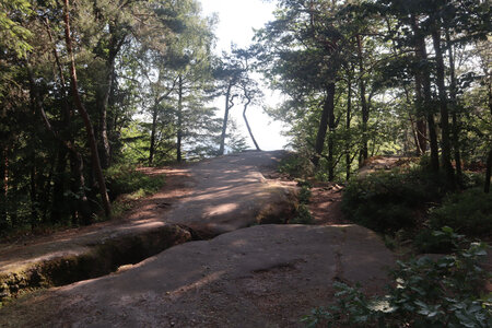 20230615 Ottrott - Mont Sainte-Odile, IMG_4945_Rocher Oberkirch (Saufelsen) à la fin du sentier des Merveilles