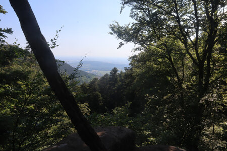 20230615 Ottrott - Mont Sainte-Odile, IMG_4946_Vue depuis le rocher Oberkirch