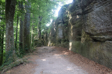 20230615 Ottrott - Mont Sainte-Odile, IMG_4959_Le chemin de Croix (sentier du Mur Païen est)