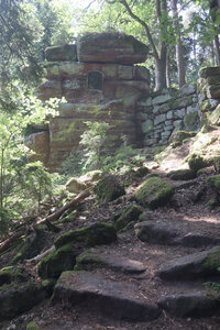 20230615 Ottrott - Mont Sainte-Odile, IMG_4963_Rocher du Panorama (sentier du Mur Païen est)
