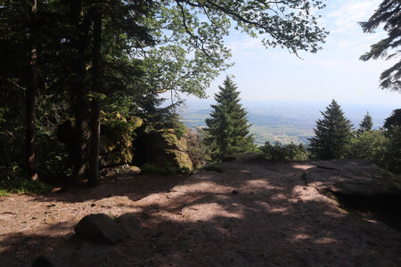20230615 Ottrott - Mont Sainte-Odile, IMG_4964_Rocher du Panorama (sentier du Mur Païen est)