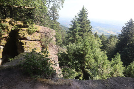 20230615 Ottrott - Mont Sainte-Odile, IMG_4965_Rocher du Panorama (sentier du Mur Païen est)