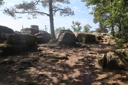 20230615 Ottrott - Mont Sainte-Odile, IMG_4966_Maennelstein (sentier du Mur Paën sud)