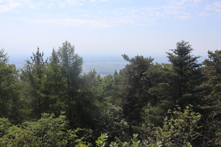 20230615 Ottrott - Mont Sainte-Odile, IMG_4967_Vue depuis le Maennelstein (sentier du Mur Païen sud)