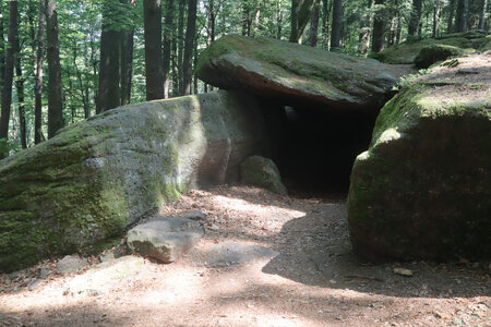 20230615 Ottrott - Mont Sainte-Odile, IMG_4973_Grotte des Druides (Sentier du Mur Païen ouest)