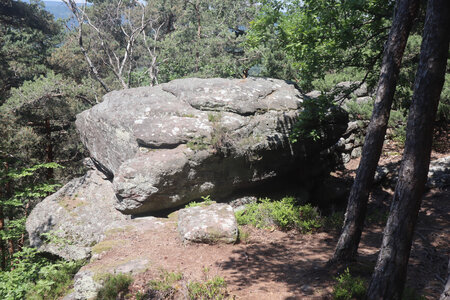 20230615 Ottrott - Mont Sainte-Odile, IMG_4976_Sentier du Mur Païen ouest