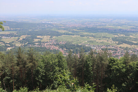 20230615 Ottrott - Mont Sainte-Odile, IMG_4981_Vue depuis le Kiosque de l’Elsberg