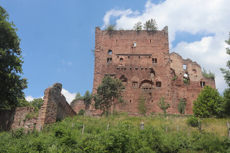 20230615 Ottrott - Mont Sainte-Odile, IMG_4983_Le château de Rathsamhausen