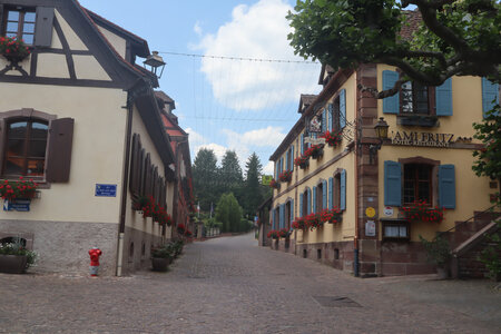 20230615 Ottrott - Mont Sainte-Odile, IMG_4984_Ottrott-le-Haut