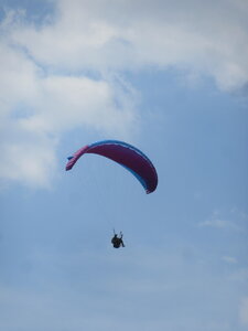 Sortie Treh juin 2023, IMG_6645