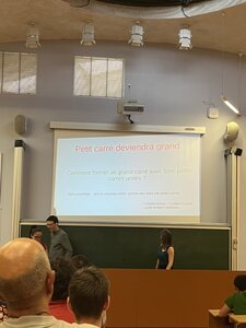 Stage Faire des mathématiques autrement, juin 2023, IMG_5008