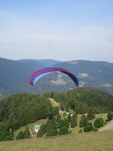 Sortie Treh juin 2023, IMG_6681