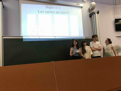 Stage Faire des mathématiques autrement, juin 2023, exposes10