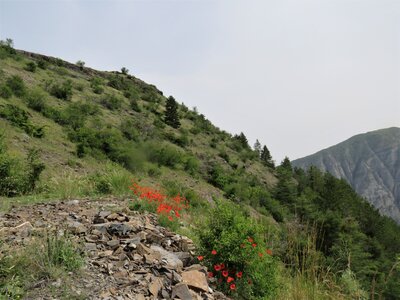 Neyrac - Piégut - St Colomban, IMG_0001