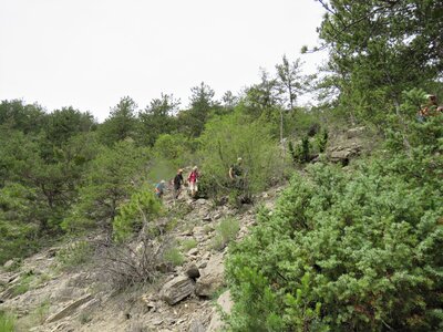 Neyrac - Piégut - St Colomban, IMG_0026