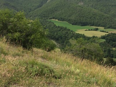 Neyrac - Piégut - St Colomban, IMG_9854