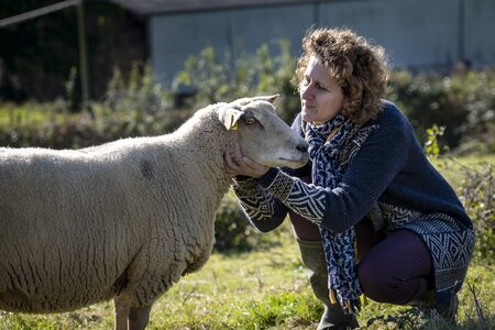 Création d'une carte postale Marque Valeurs Parc – Viandes ovines : sondage choix photographie, Laure - Artisans valeurs Parc-23