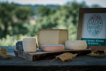 Création d'une carte postale Marque Valeurs Parc – Fromages et produits laitiers - Chèvre : sondage choix photographie , Phototèque Parc - Partie 1-45
