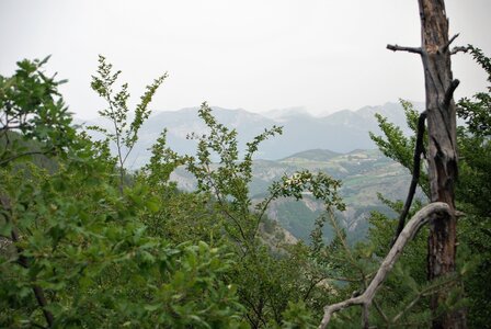 Boucle Neyrac - Piégut - Mont St Colomban - Neyrac 20062023, DSC_0032