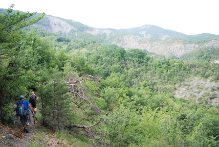 Boucle Neyrac - Piégut - Mont St Colomban - Neyrac 20062023, DSC_0037