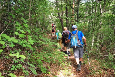 Boucle Neyrac - Piégut - Mont St Colomban - Neyrac 20062023, DSC_0042