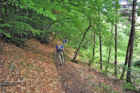 Boucle Neyrac - Piégut - Mont St Colomban - Neyrac 20062023, DSC_0047